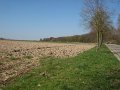 Hyacintenjogging 2013 - 82